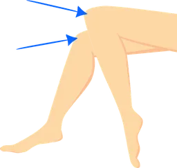 knees.webp